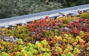 the cost of Creediknowe green roof installation