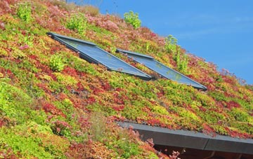 Creediknowe living roof systems