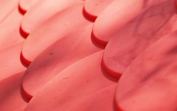 Creediknowe plastic roof costs