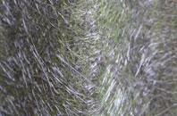 Creediknowe fibreglass roof work